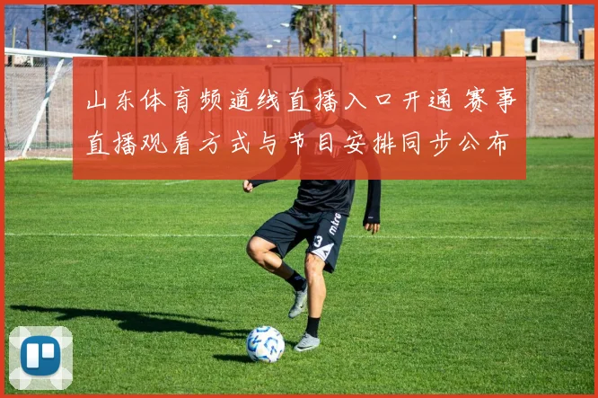 山东体育频道线直播入口开通 赛事直播观看方式与节目安排同步公布