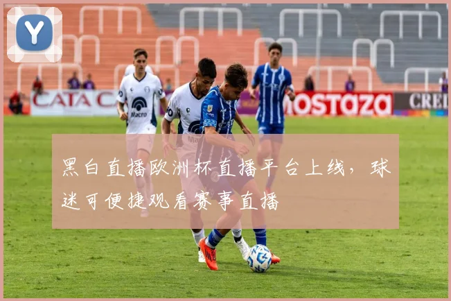 黑白直播欧洲杯直播平台上线，球迷可便捷观看赛事直播