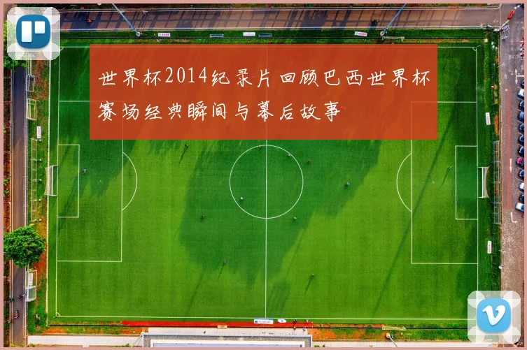 世界杯2014纪录片回顾巴西世界杯赛场经典瞬间与幕后故事